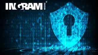 Ingram ciberseguridad