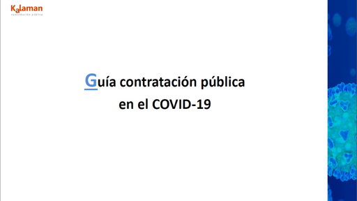 WP_Guia Contratación publica y TI