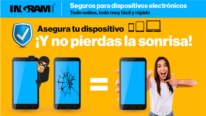 Ingram seguros