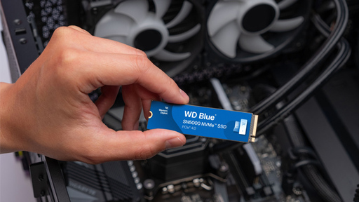 WD Blue SN5000 SSD