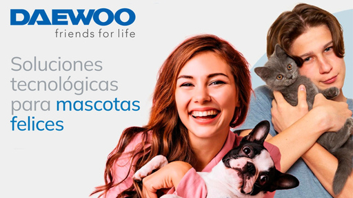 Daewoo friends for life