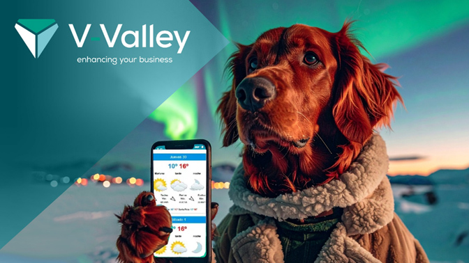 VValley formacion IA